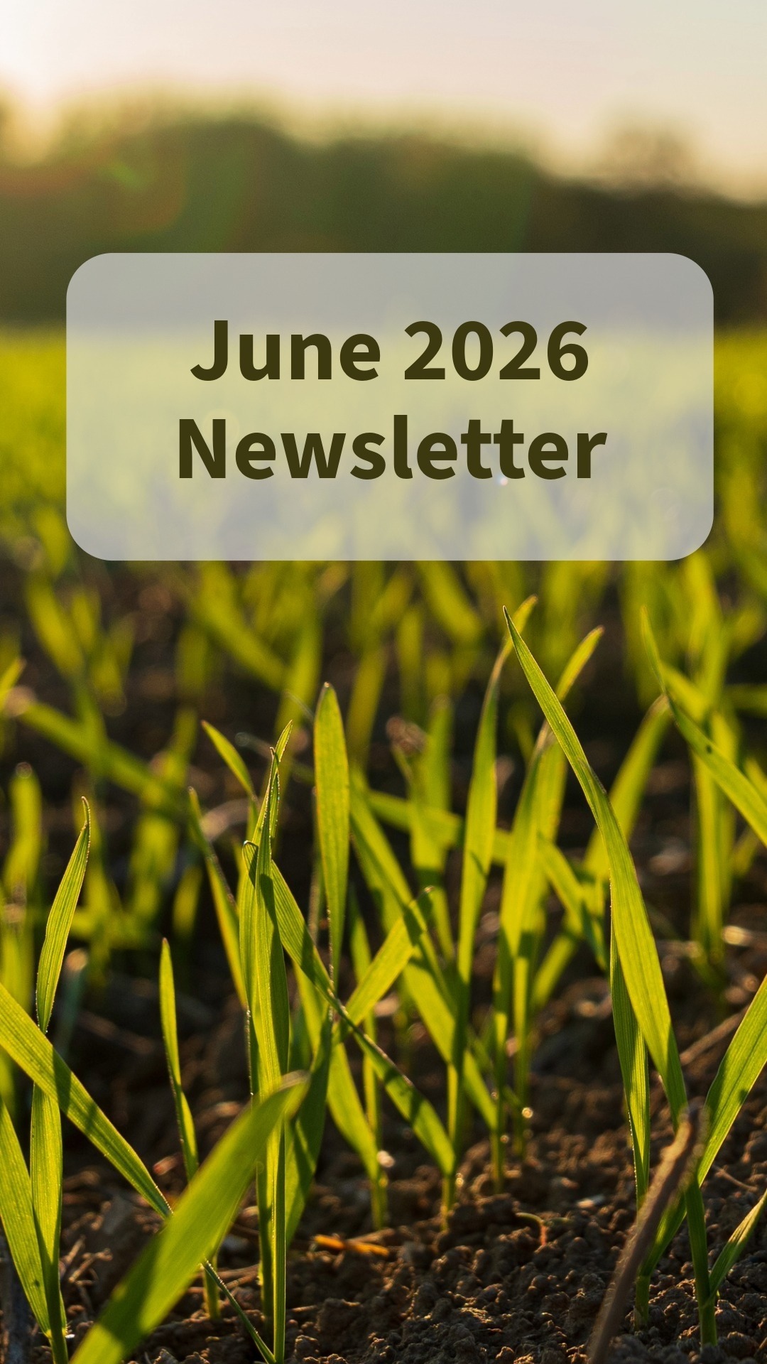 June 2026 Newsletter