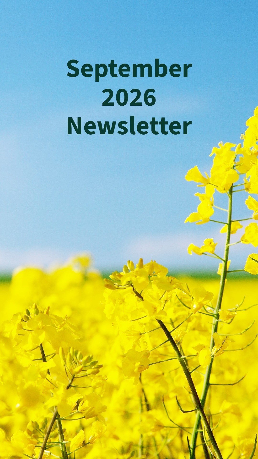 September 2026 Newsletter