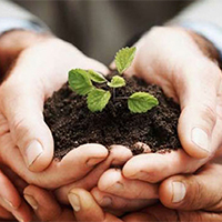 Conservation and Land Management